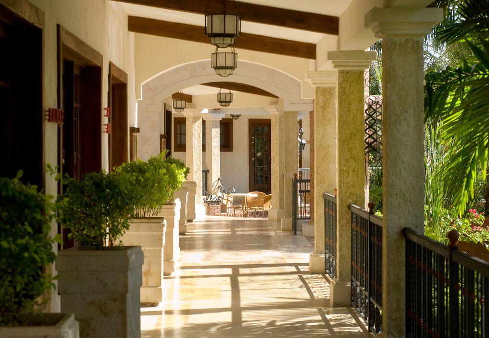 Ifa Bavaro &